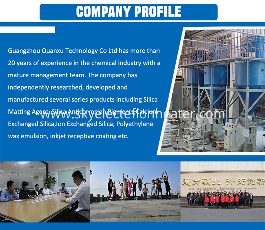 Company Profile